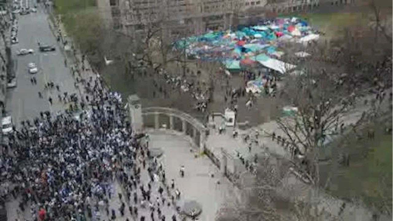 McGill encampment: Demonstrators confronted by counter-protest | Watch News Videos Online