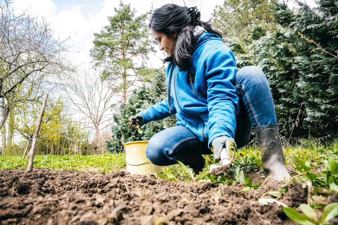 Four ways gardening is a great workout