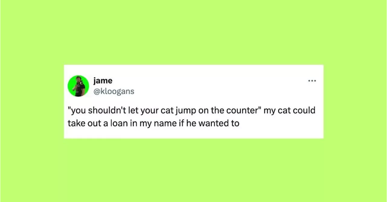 23 Of The Funniest Tweets About Cats And Dogs This Week (April 27-May 3)