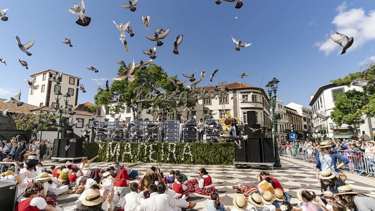 Primavera a Madeira per la Festa dei fiori tra murales di petali, escursioni e soste spettacolari