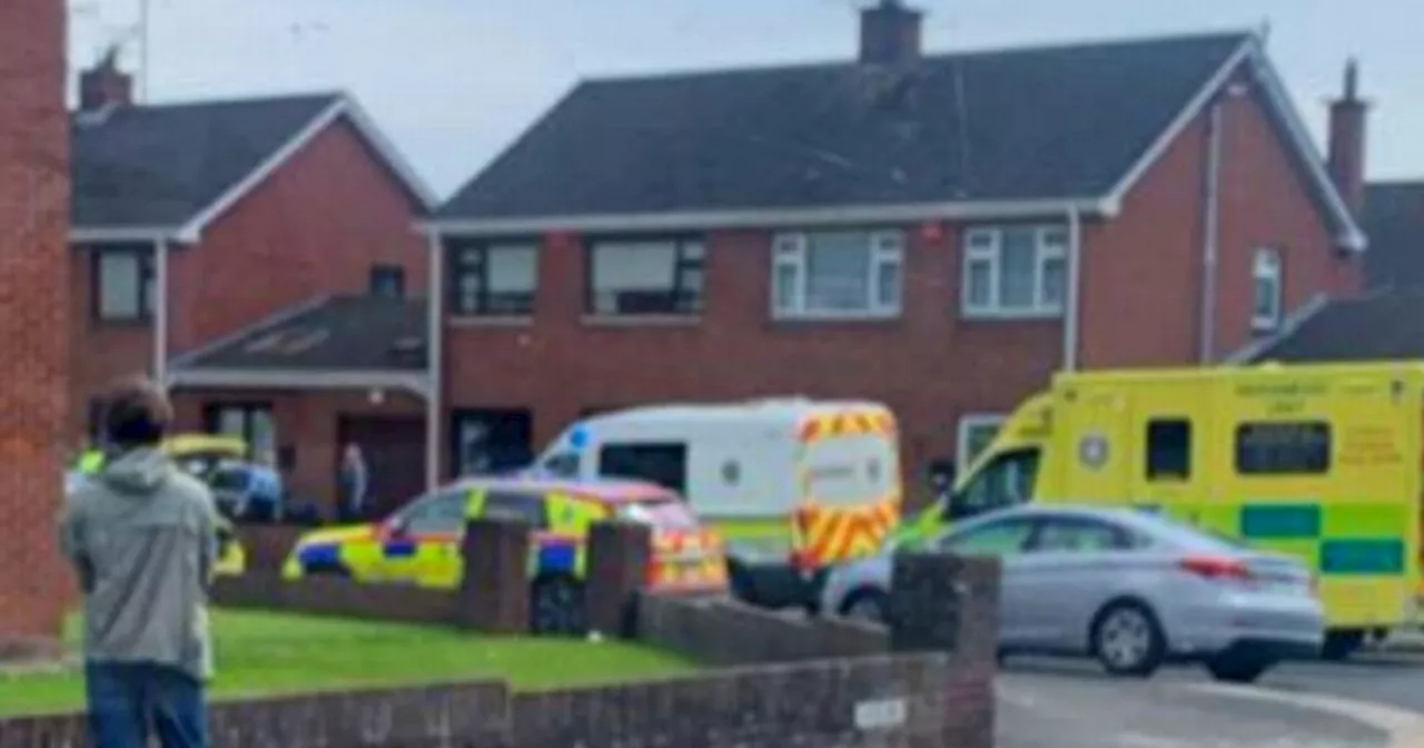 Horrific 'hatchet attack' in Louth leaves elderly woman fighting for her life