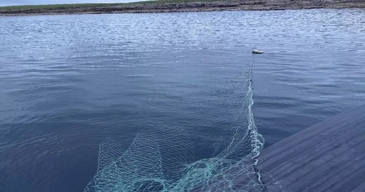 Four men convicted of illegal salmon angling offences in Co Sligo