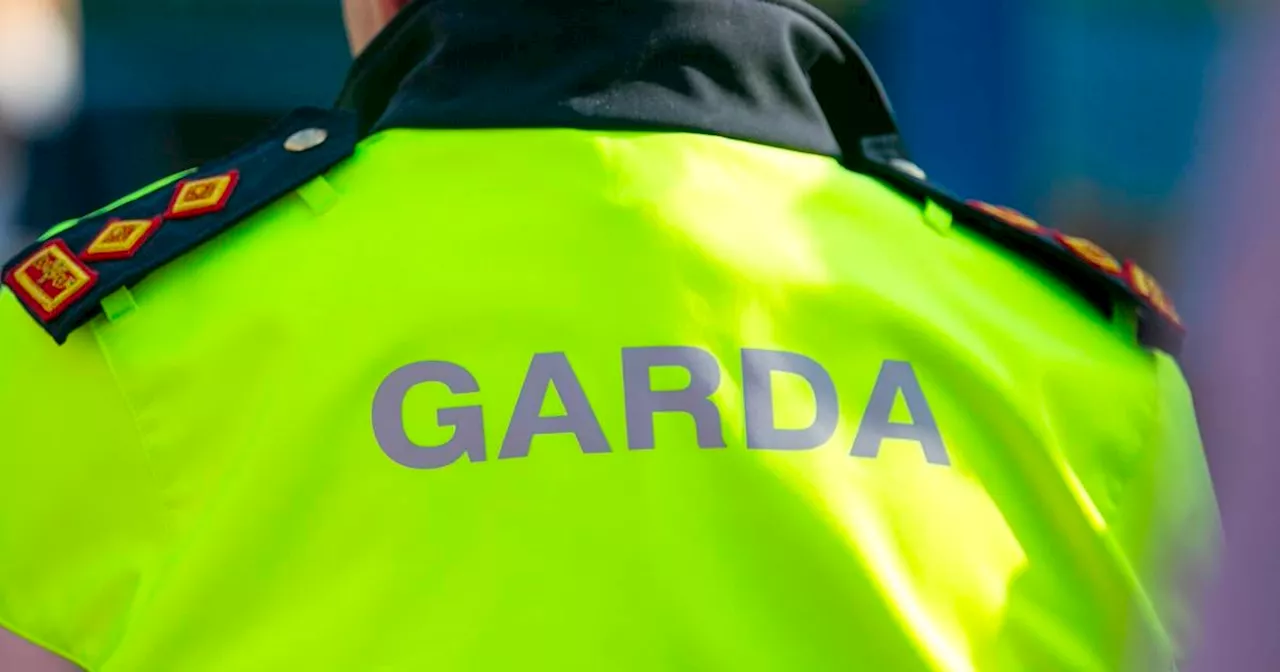 Man arrested after three women injured in alleged hatchet attack in Louth