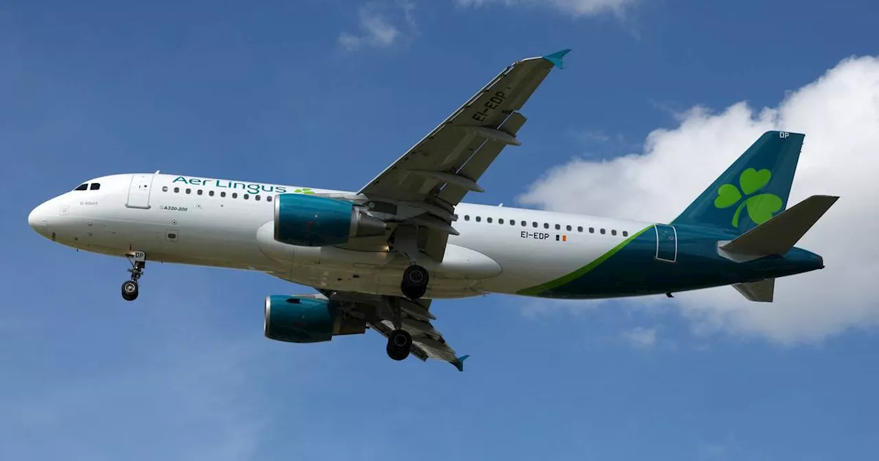 Pilot unions at Aer Lingus owner vow to work together