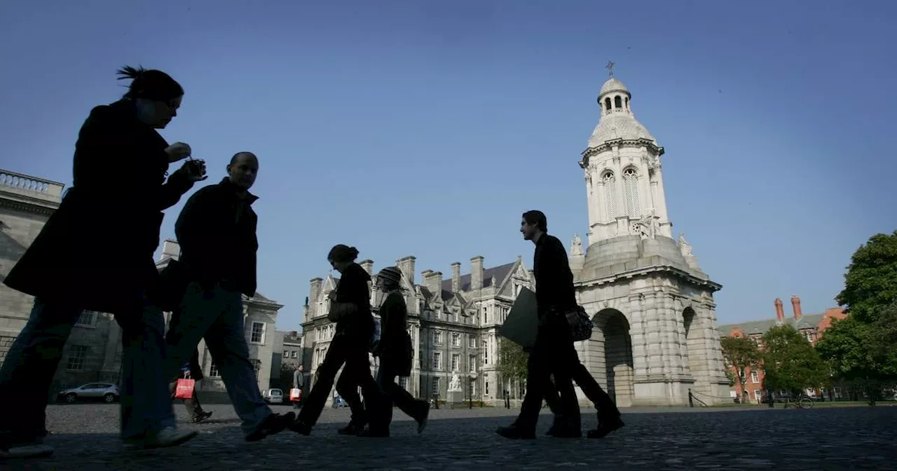 Trinity College Dublin students occupy university grounds in Israel protest