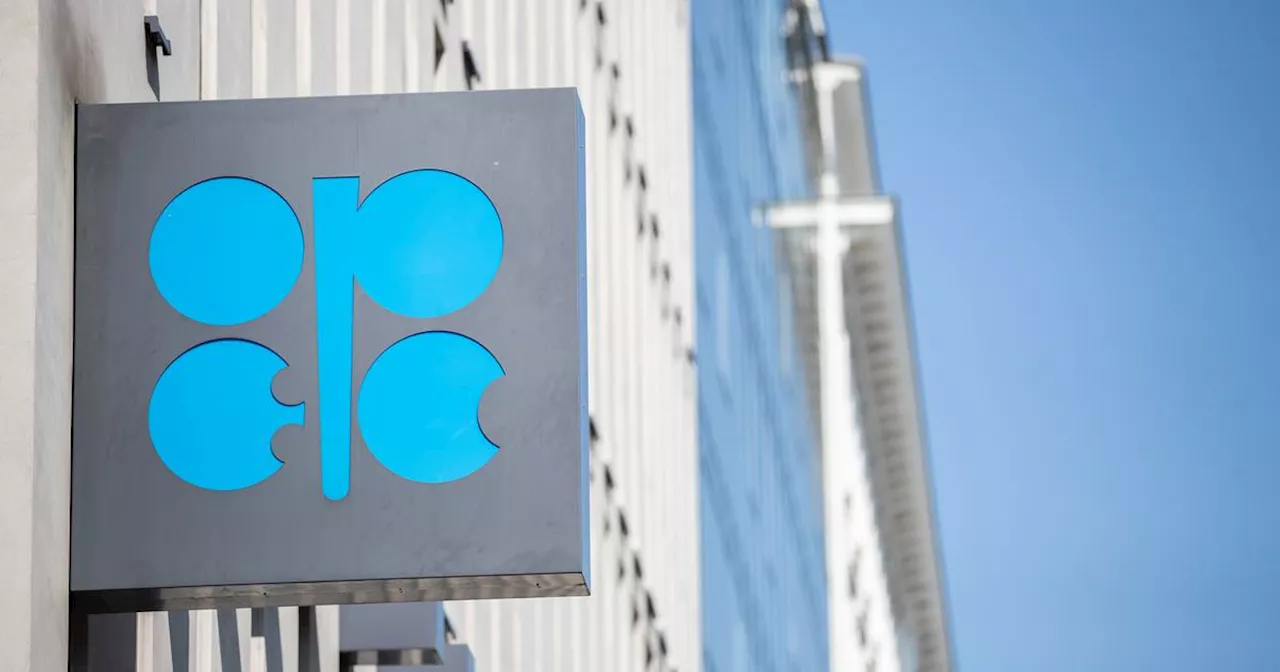 US regulator’s Opec collusion claim sets off tremor in oil patch