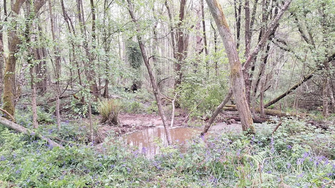 More than 30,000 properties in East Sussex without water due to burst main