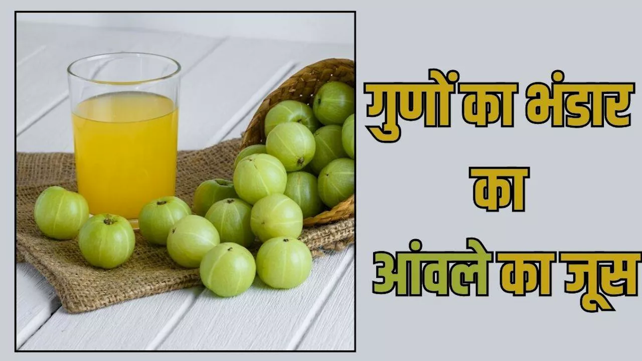 Amla Juice Benefits: कई बीमारियां और समस्याएं रहेंगी कोसों दूर, अगर रोजाना खाली पेट पिएंगे आंवले का जूस