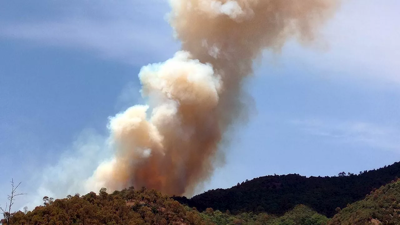 Uttarakhand Forest Fire: वन विभाग ने झोंकी पूरी ताकत, रुक नहीं रहा आग का तांडव; 24 घंटे के अंदर 43 घटनाओं में 62 हेक्टेयर जंगल खाक