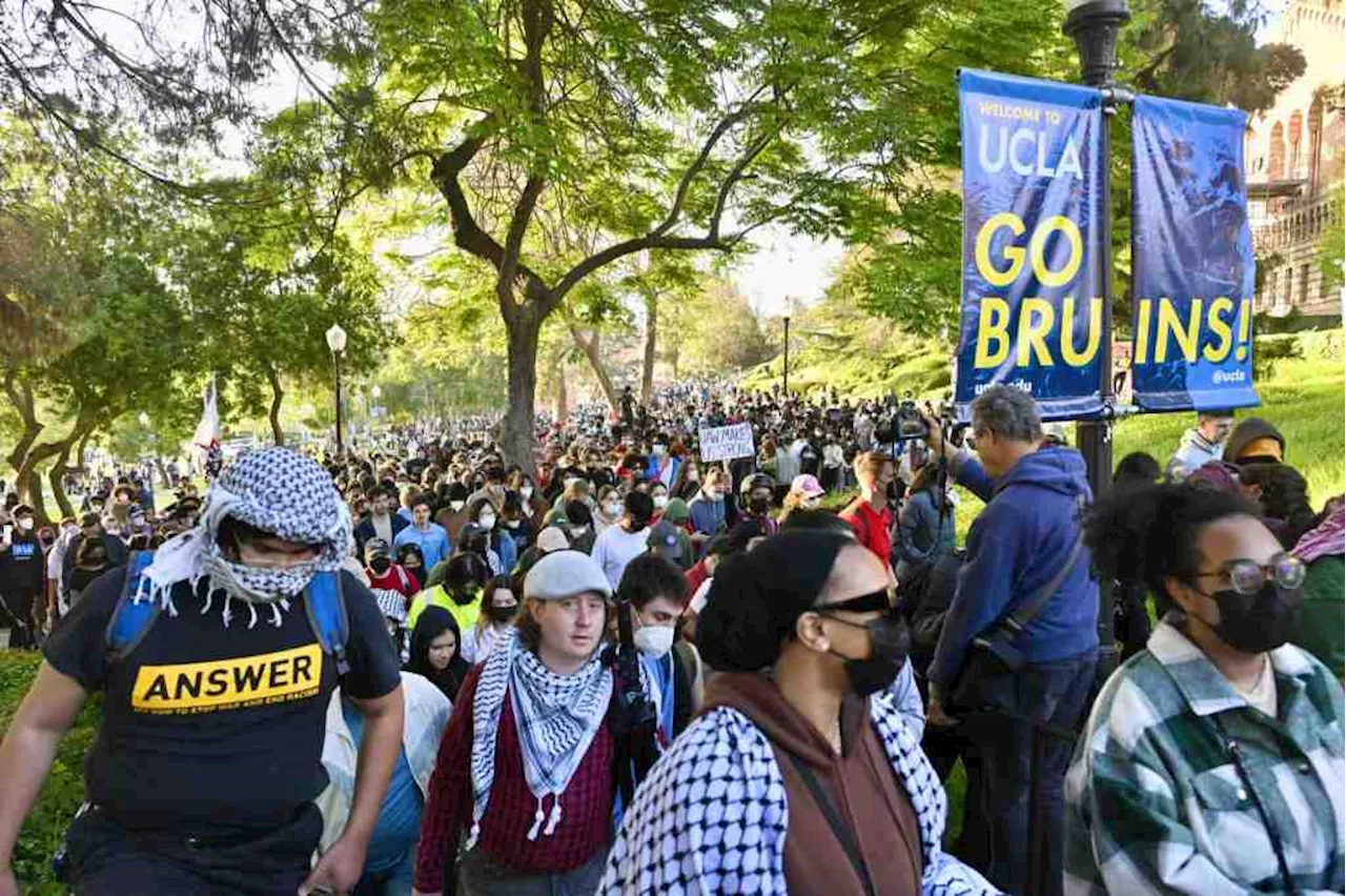 Student protests are happening across the country: We answer your questions about divestment, arrests, and more