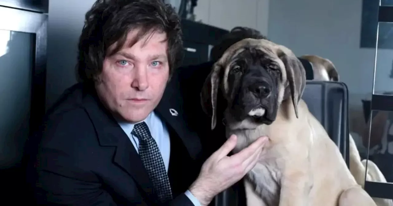 El informe completo de la CNN: así clonaron a Conan, el perro “cordobés” de Javier Milei