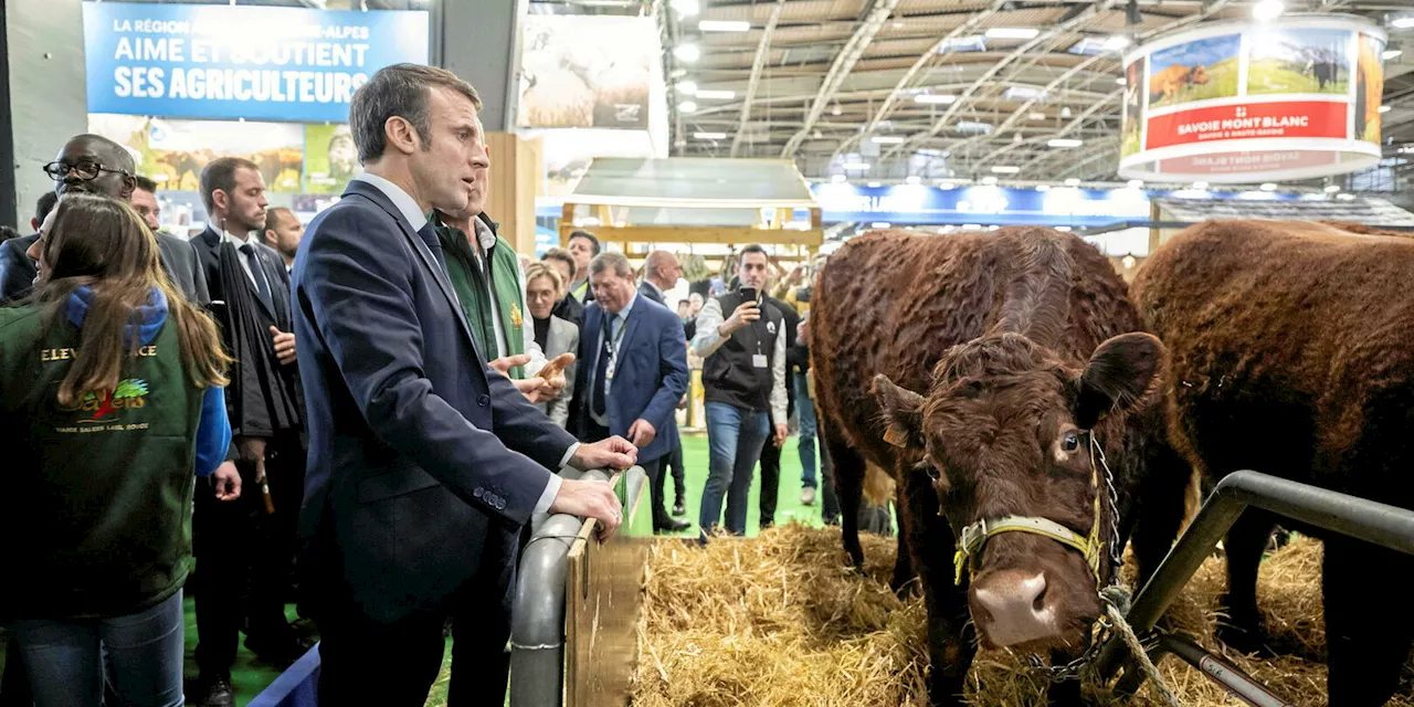 Crise agricole : quand Emmanuel Macron joue avec les nerfs du monde paysan