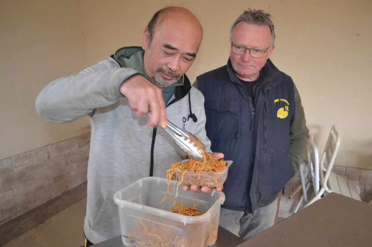 Un nouveau président pour booster le marché de Bernaville | Le Journal d'Abbeville