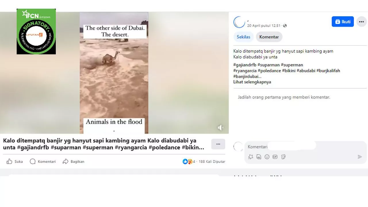 Cek Fakta: Tidak Benar Unta Hanyut Dalam Video Ini saat Banjir di Dubai