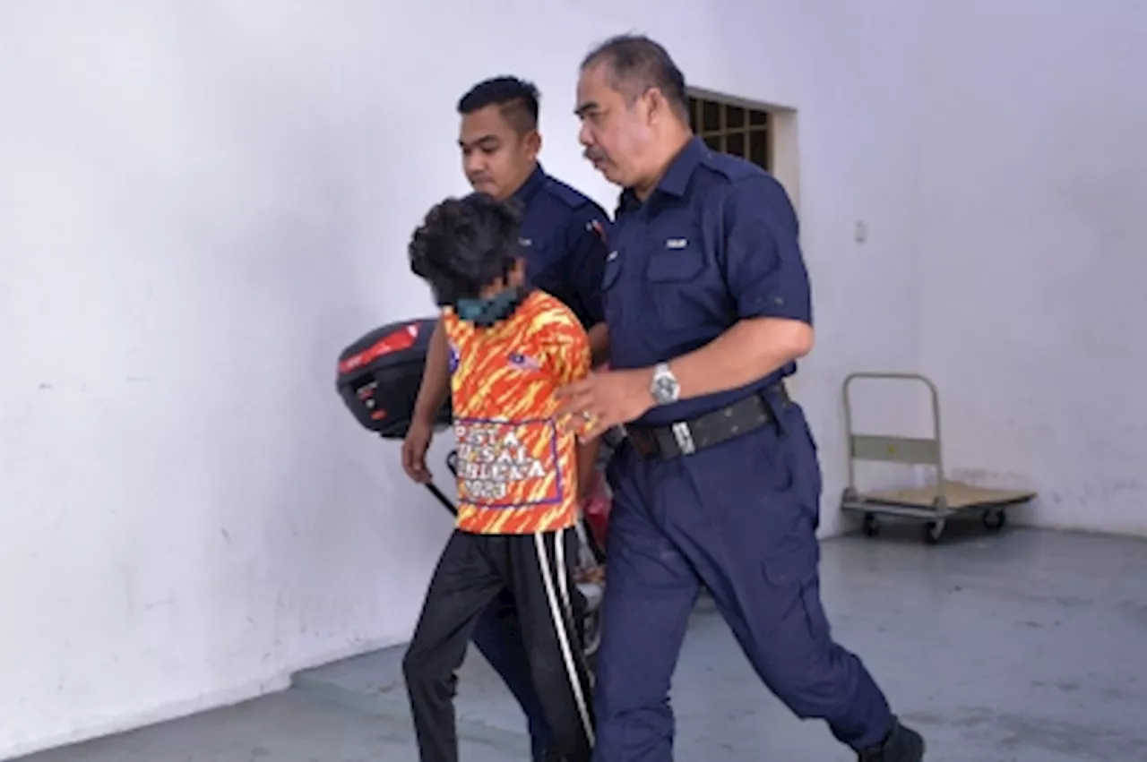 In Kajang, 13-year-old boy pleads guilty to setting cat on fire