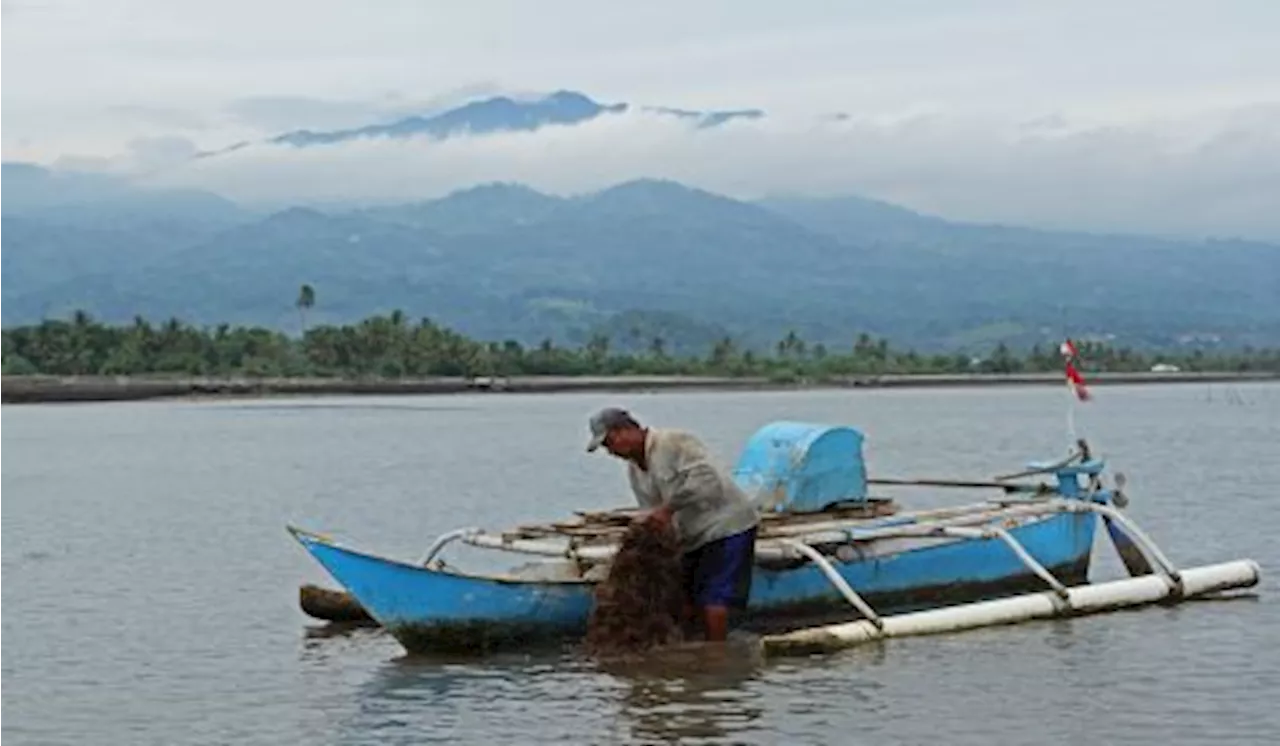 Budi Daya di Laut Masa Depan Perikanan Indonesia