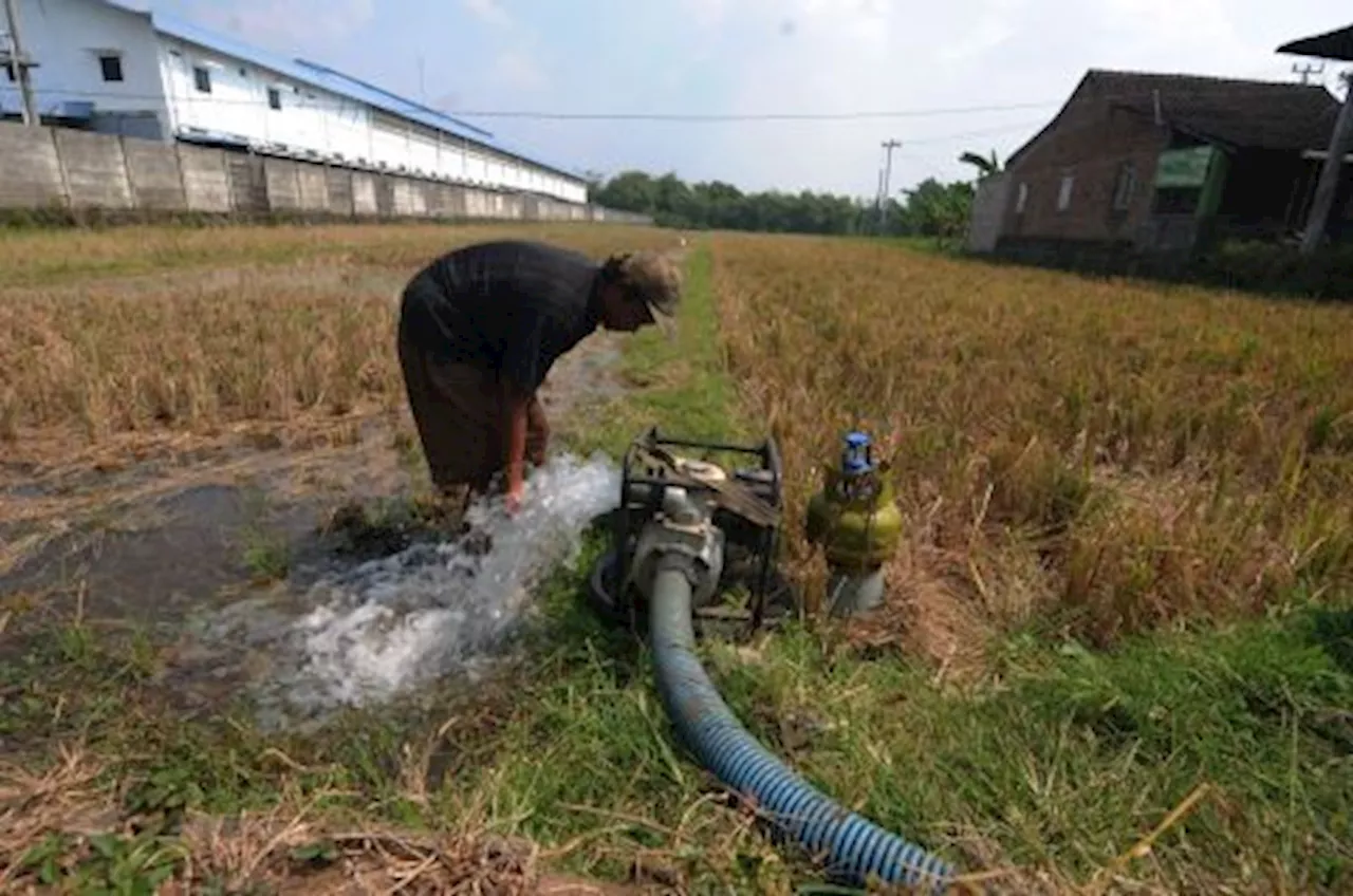 Mentan Amran Sulaiman Dorong Percepatan Pemasangan Pompa di Sawah NTB