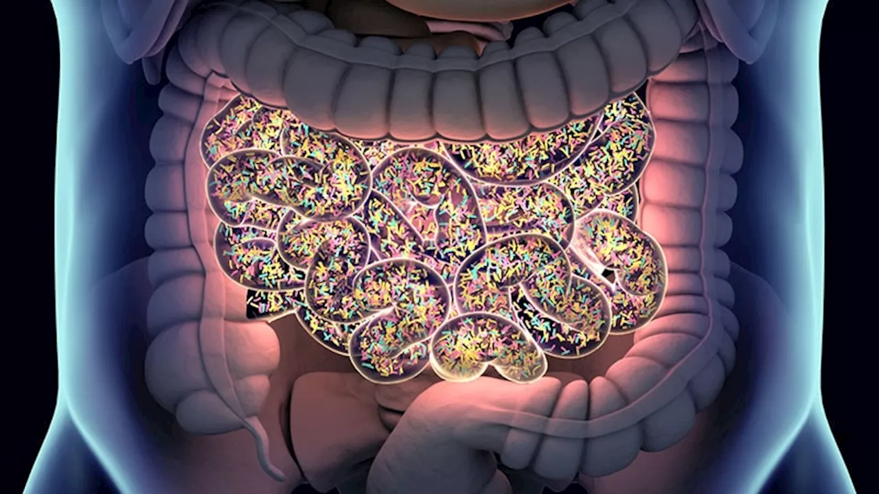 Small Bowel Microbiome Profiles Differ in Overweight/Obesity vs Normal Weight