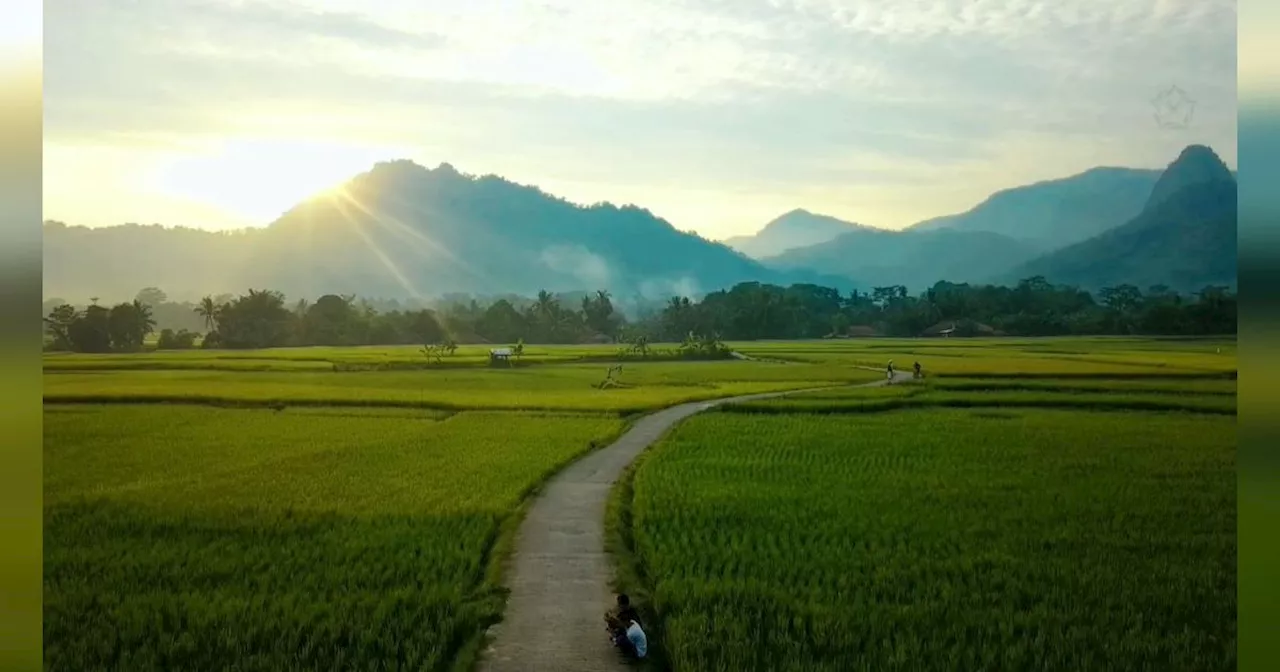 Pemandangan Desa Bantarkuning di Bogor Ini Viral di Media Sosial, Hamparan Sawah dan Gunungnya Menyejukkan Mata