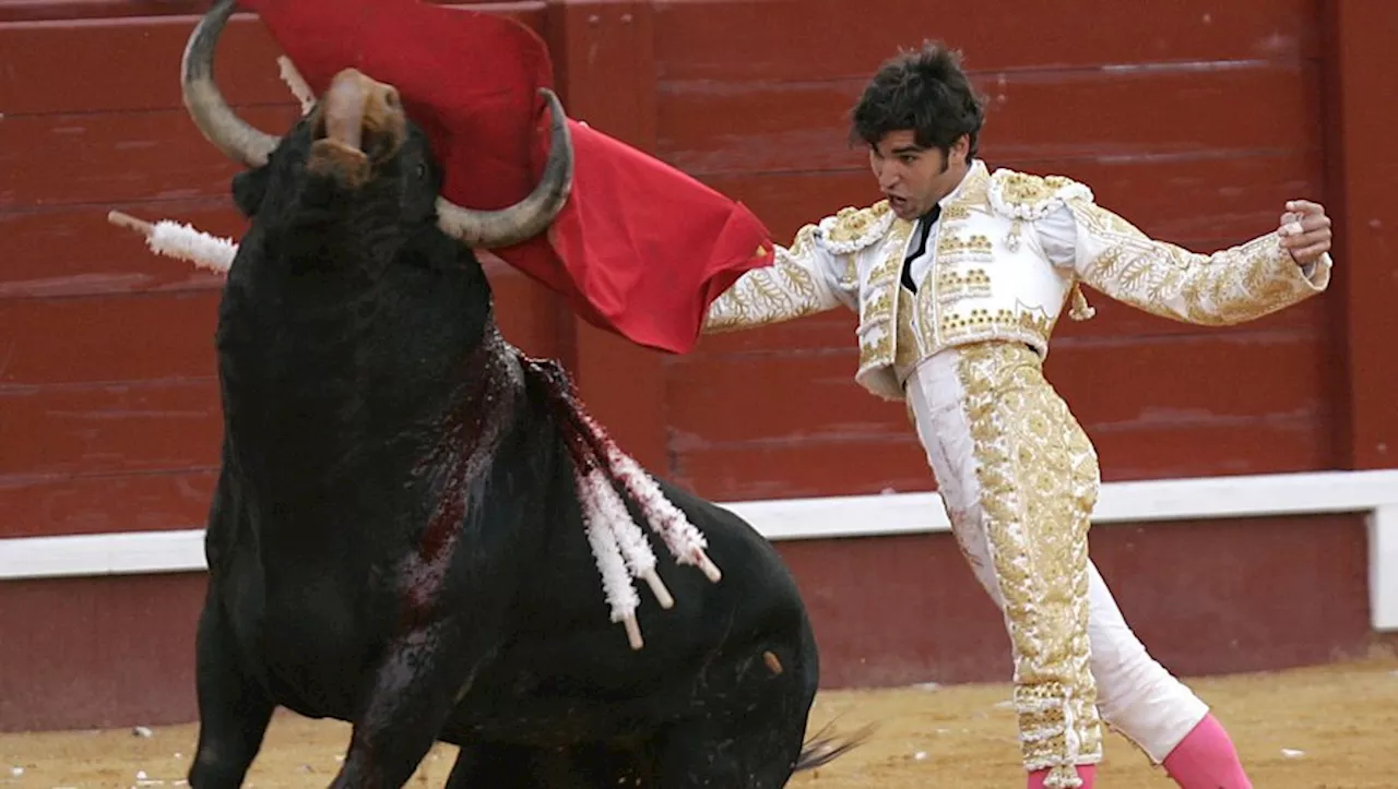 Corrida : le gouvernement espagnol supprime le prix national de la tauromachie, les aficionados s'indignent, l