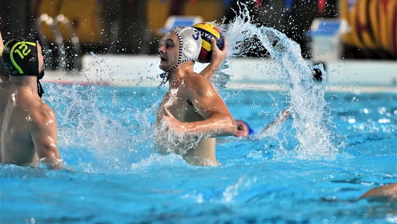 Water-polo : Sète Natation va devoir terminer le travail dans le bassin de Tourcoing