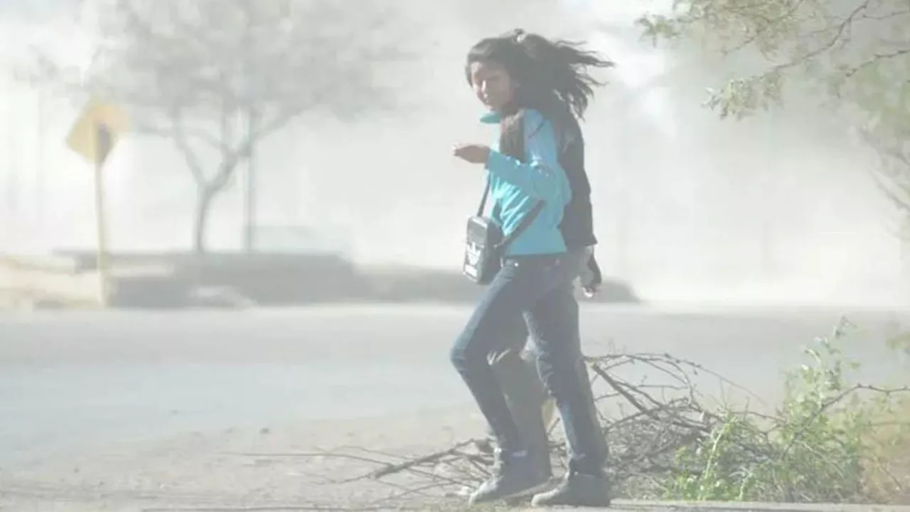 Alerta por viento fuerte en Buenos Aires y otras cuatro provincias