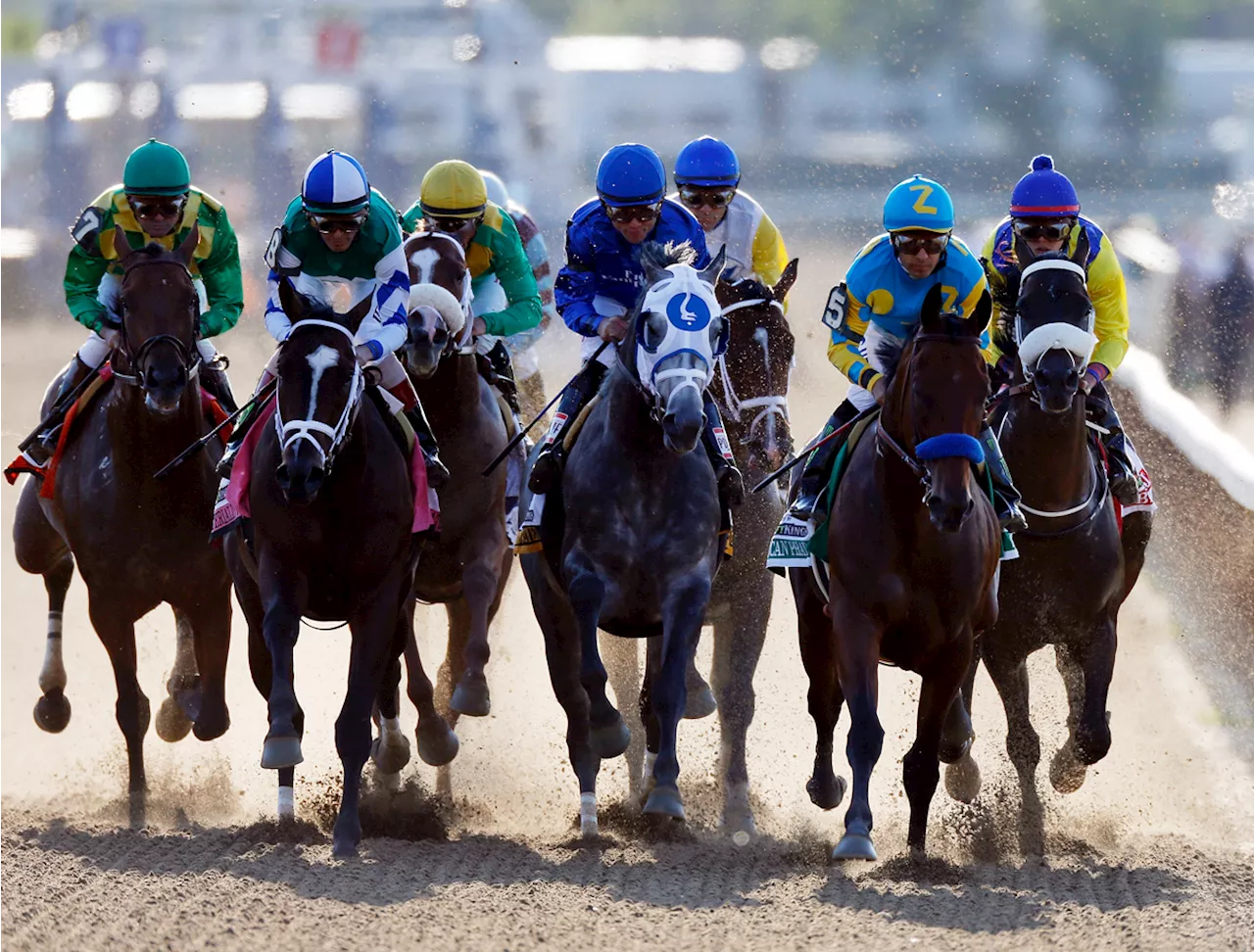 Kentucky Derby: These 13 horses have won the Triple Crown. But which ...