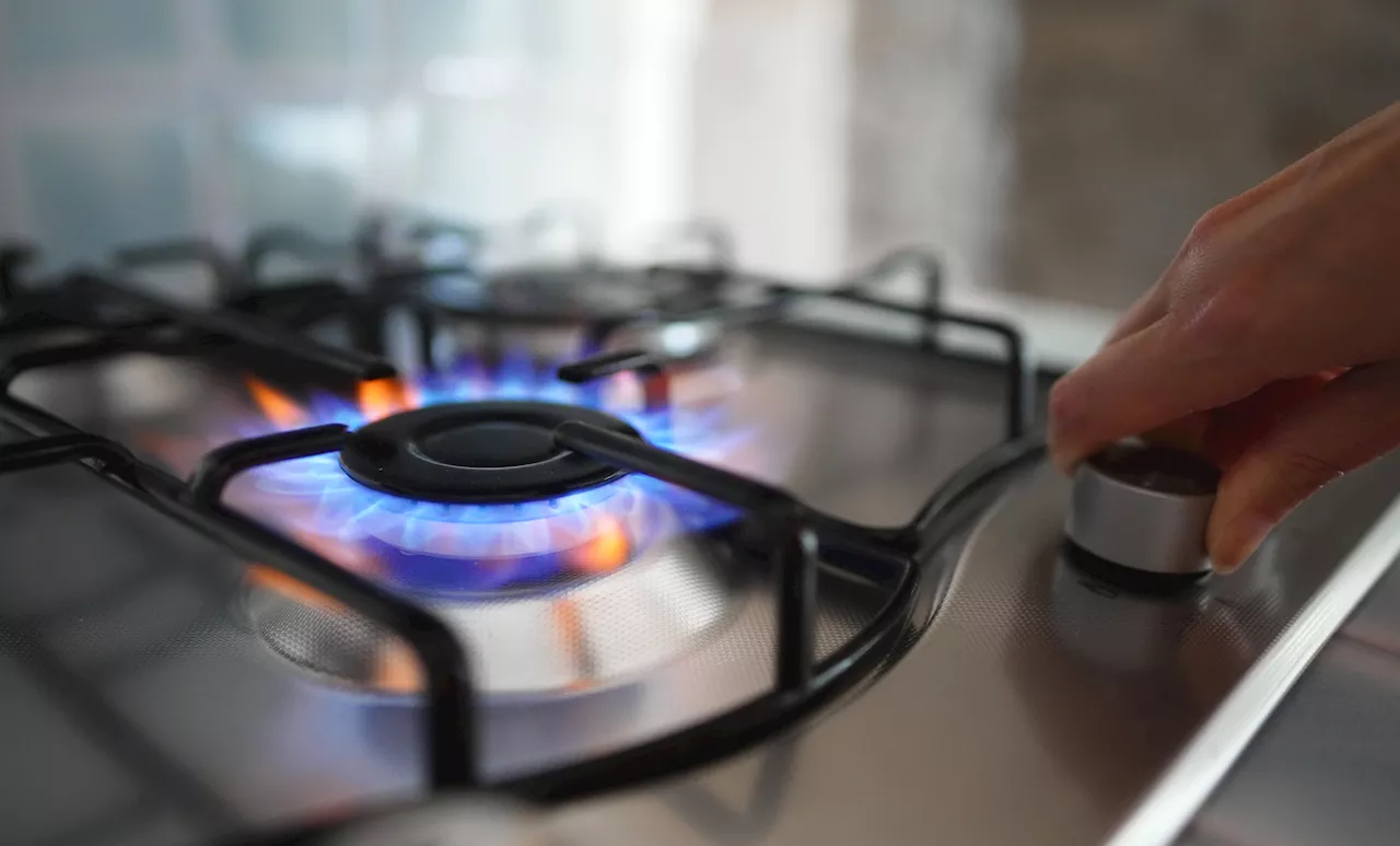 Warning as Gas Stoves May Kill 19,000 Americans Each Year