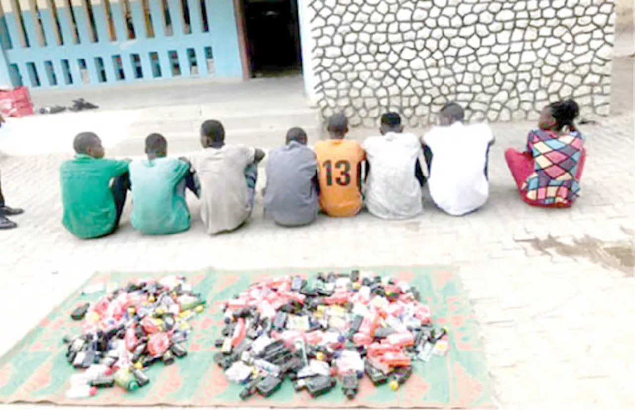 Repentant Boko Haram members invade Borno police station, free colleagues