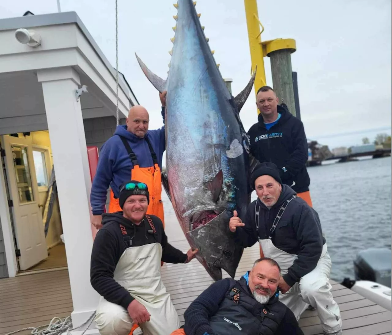 It’s huge fish season at the Jersey Shore. Boater reels in mammoth 772-pound tuna.