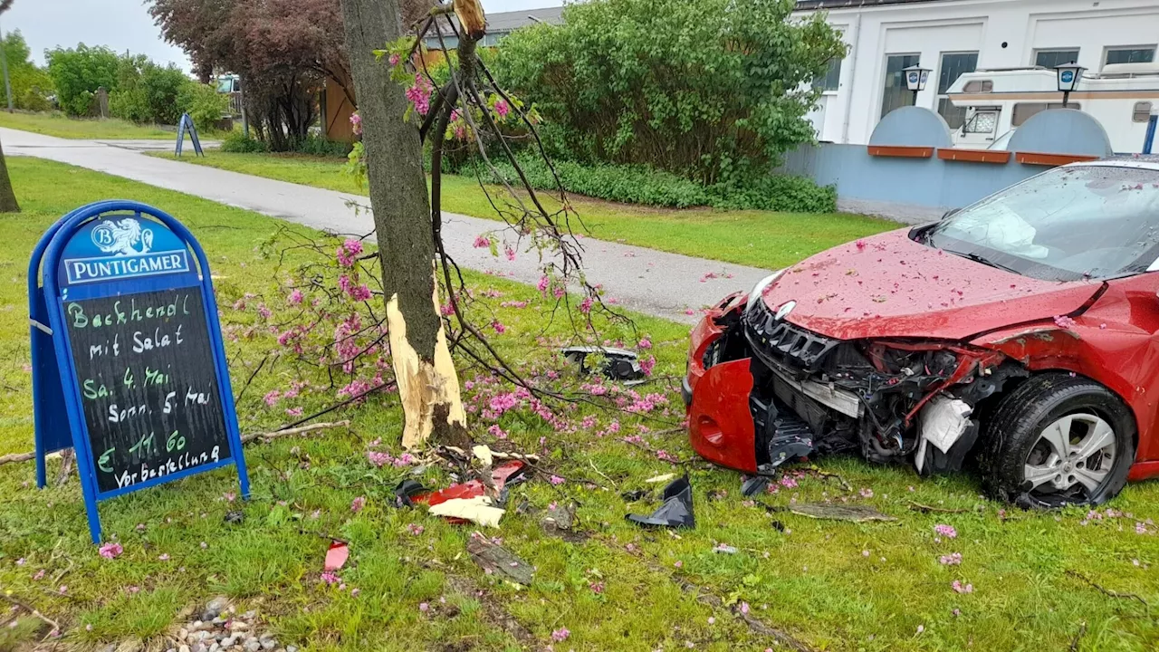 Autolenker krachte vor „Würstlhüttn“ in Wiener Neustadt gegen Baum