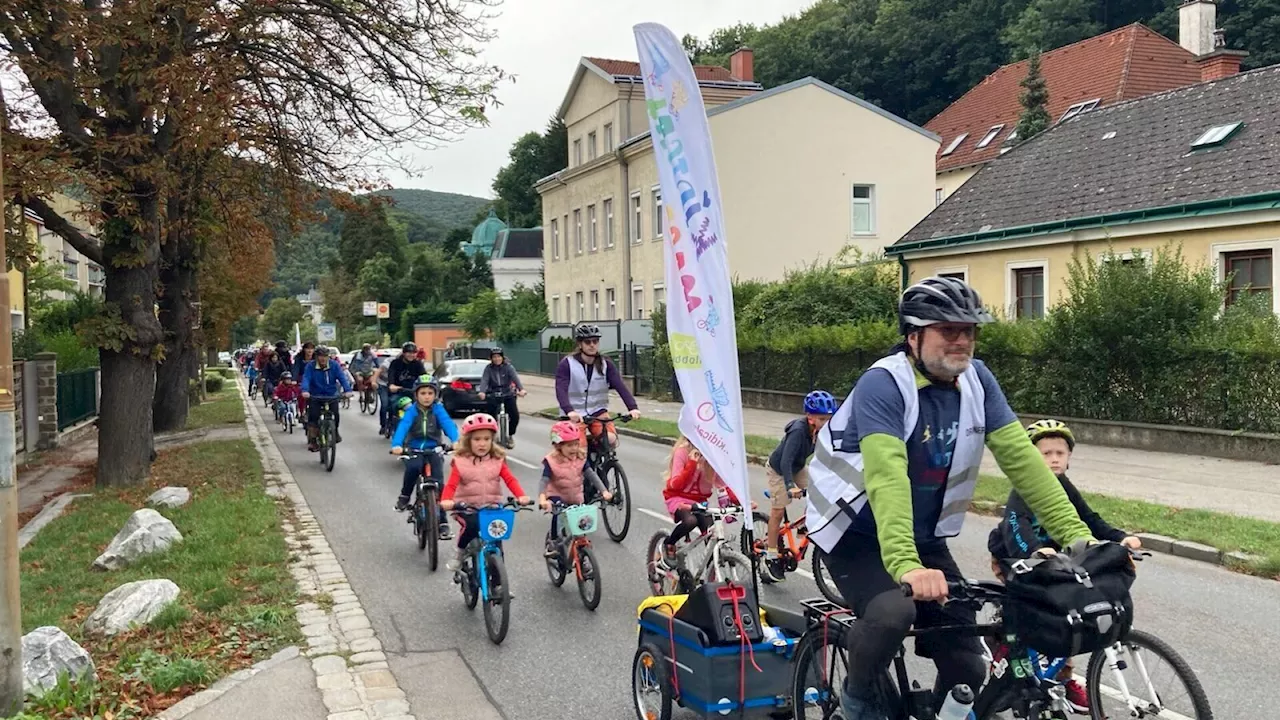 Purkersdorf hat am Wochenende einiges zu bieten