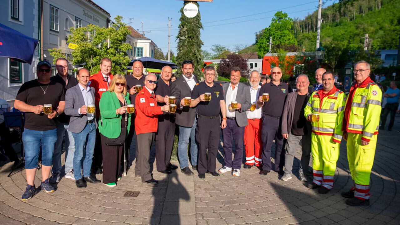 Purkersdorfer Maibaum wurde übergeben