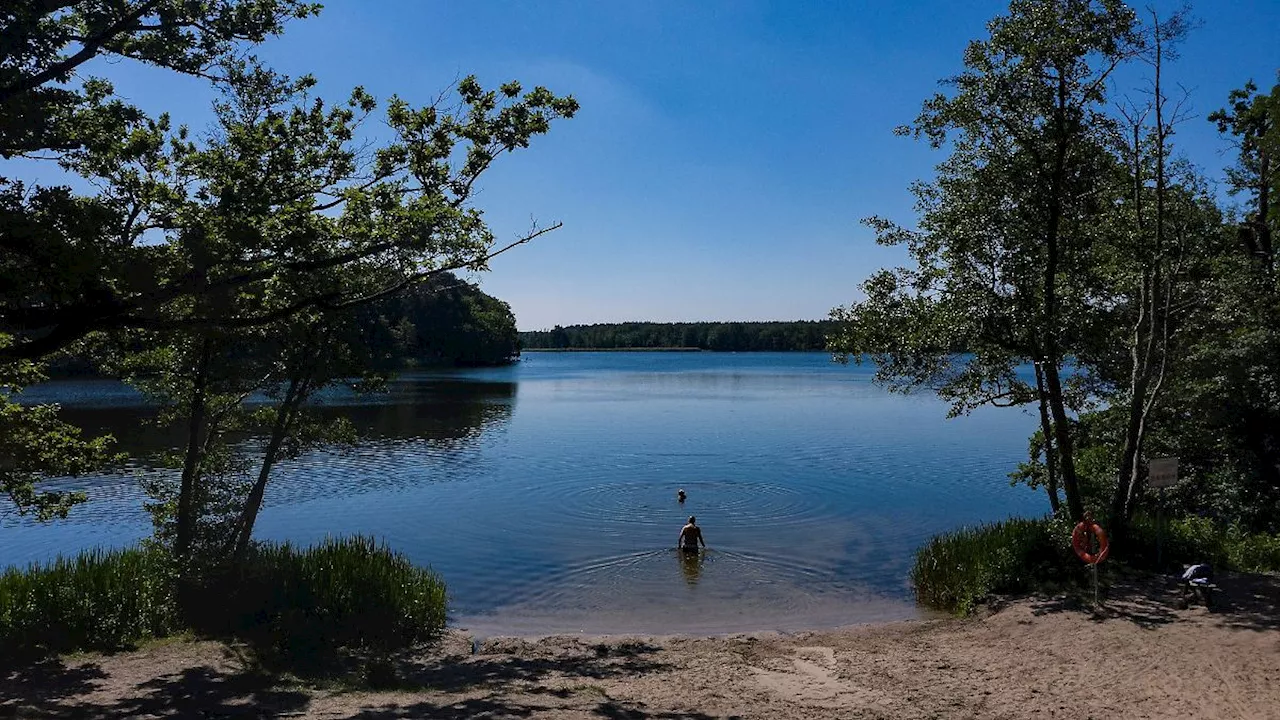 Berlin & Brandenburg: Badesaison an Oranienburger Seen startet in wenigen Tagen