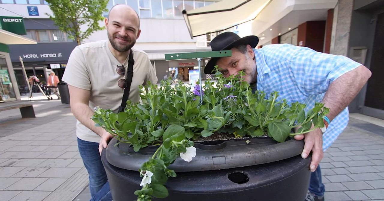 17 Blumenkübel sorgen für mehr Grün in der Herforder Innenstadt