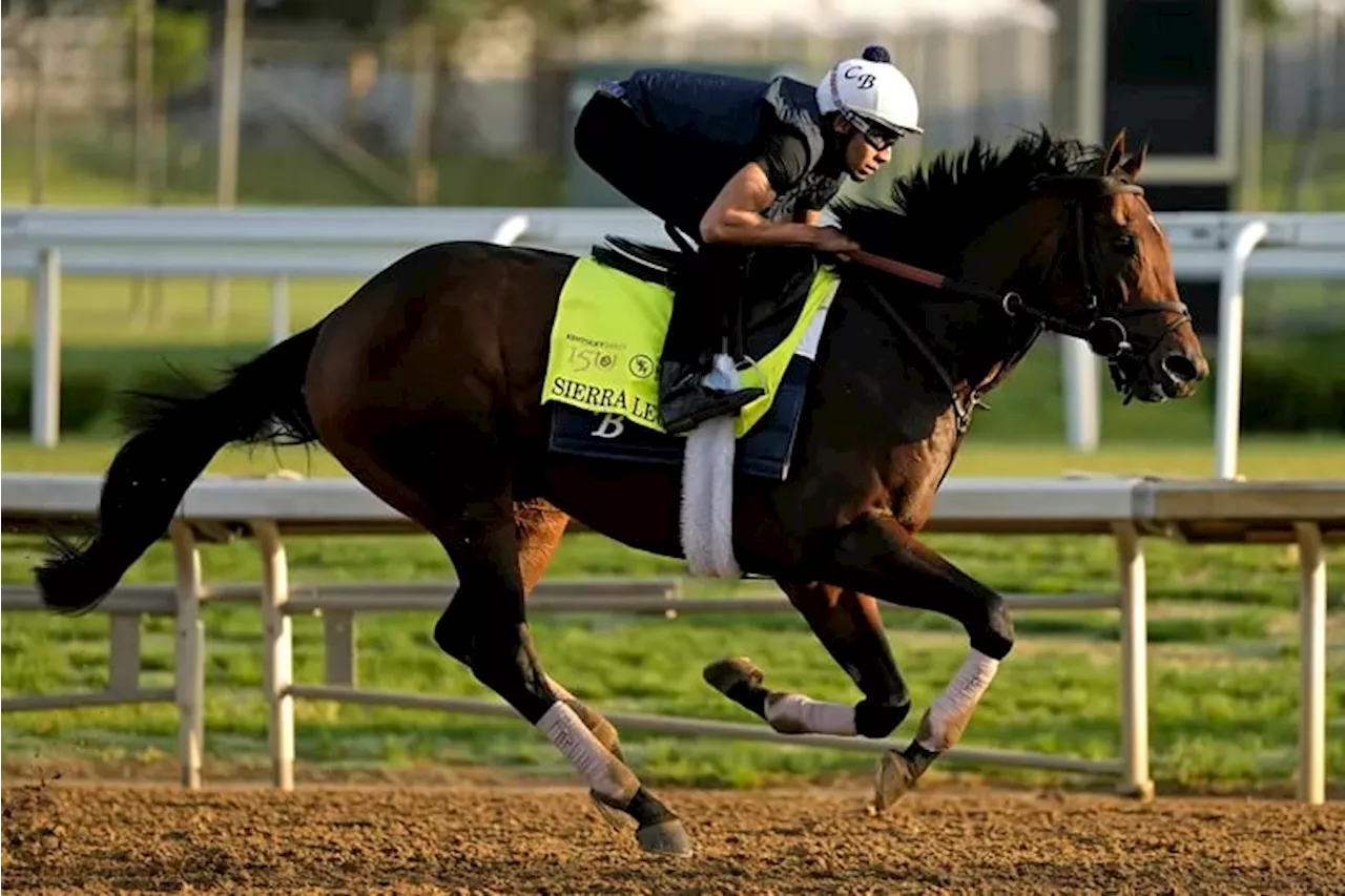 2024 Kentucky Derby: Horse-by-horse preview of the Triple Crown race