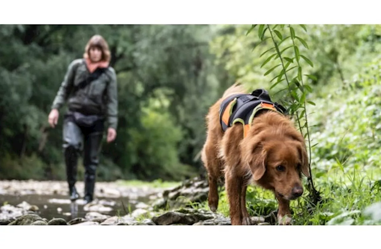 Artenspürhunde und Insektenspuren - 2 Anlässe zur Spurenausstellung im Naturmuseum Solothurn