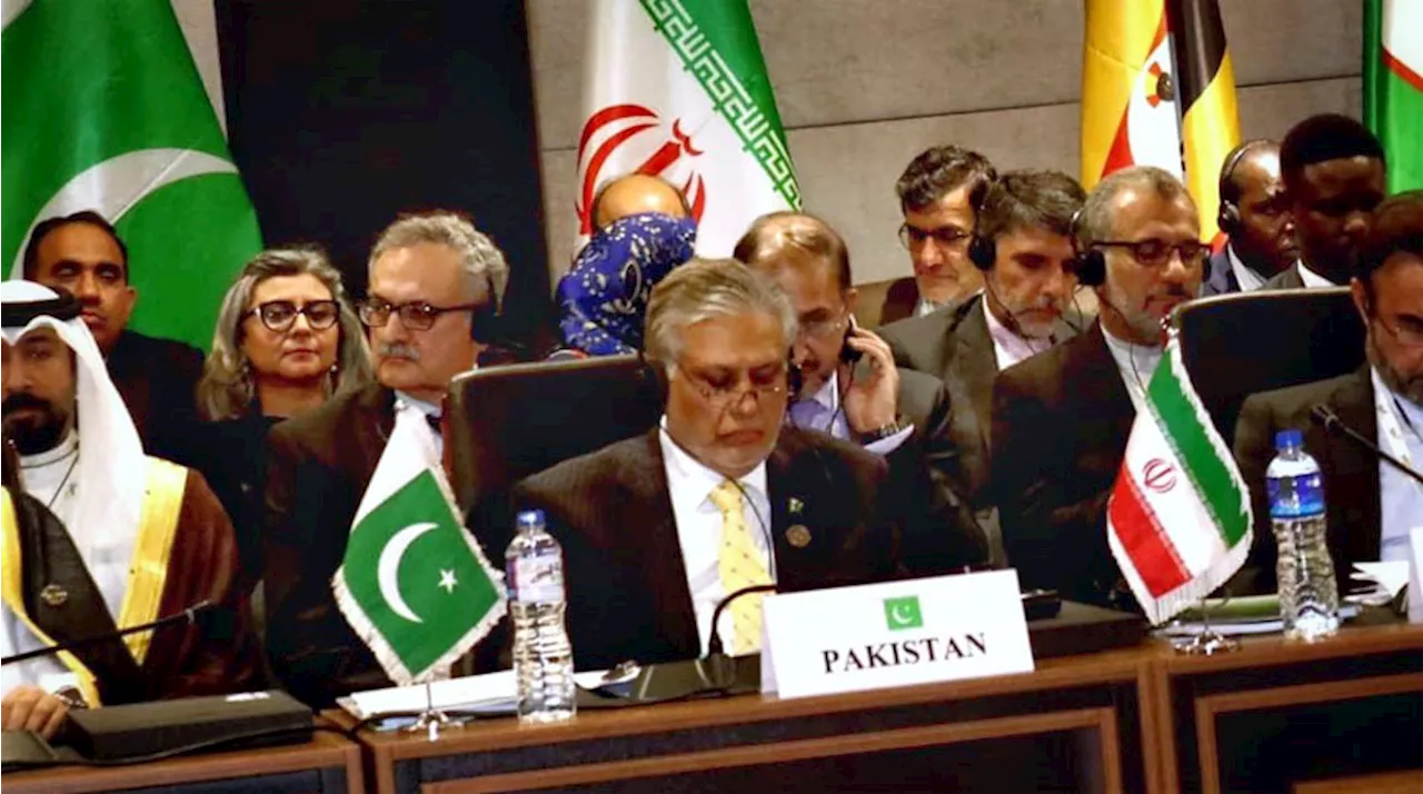 OIC Foreign Ministers Council Meeting: Pakistan Unanimously Elected As The Vice Chair