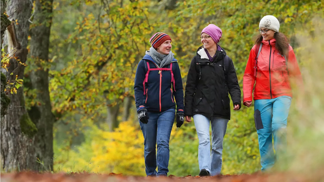 Deutschland-Wetter am Wochenende: Milder Herbst mit ein paar Ausnahmen