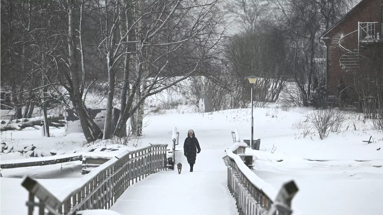 Eiskalter Wintereinbruch in Deutschland: Zweistellige Minusgrade drohen von Hamburg bis München