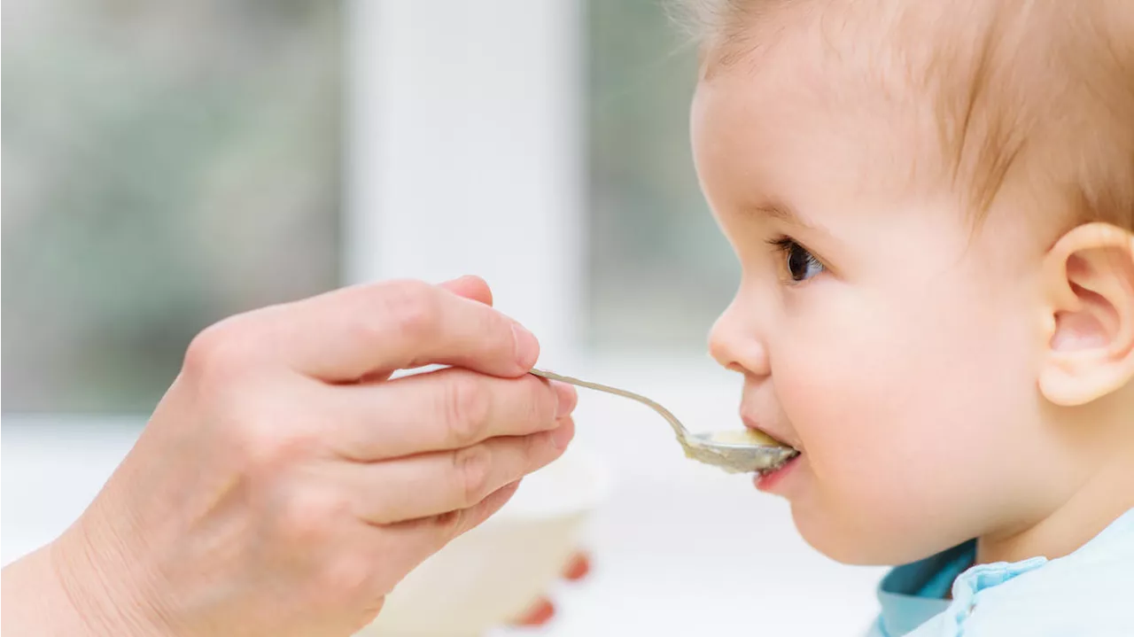 Hersteller ruft Babygläschen wegen Giftstoff zurück: Vom Verzehr wird dringend abgeraten