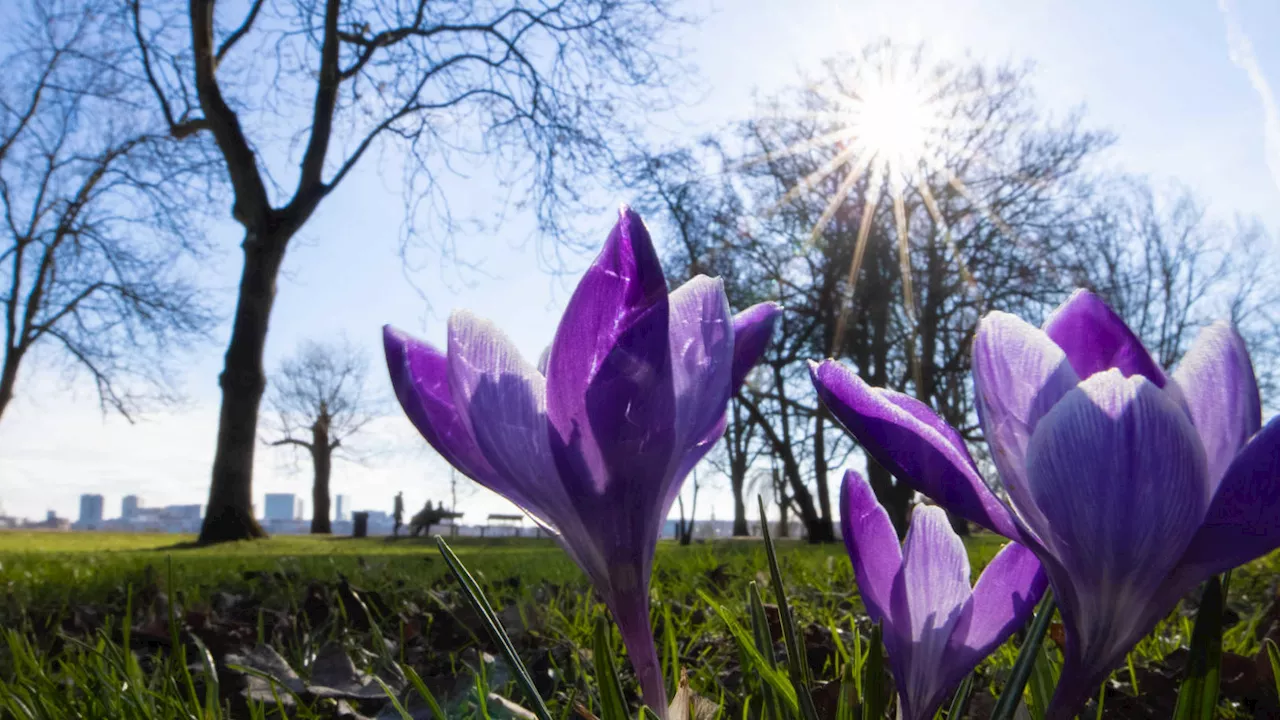 RTL-Wetter-Garantie: Sonne satt und Eisnächte - wie wird das Wetter am Wochenende?