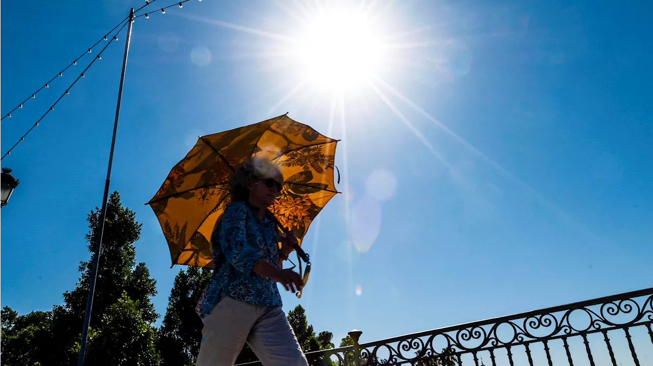 Sommerwetter in Deutschland: Nach den Regenschauern vor Fronleichnam gibt es Hitze in Deutschland