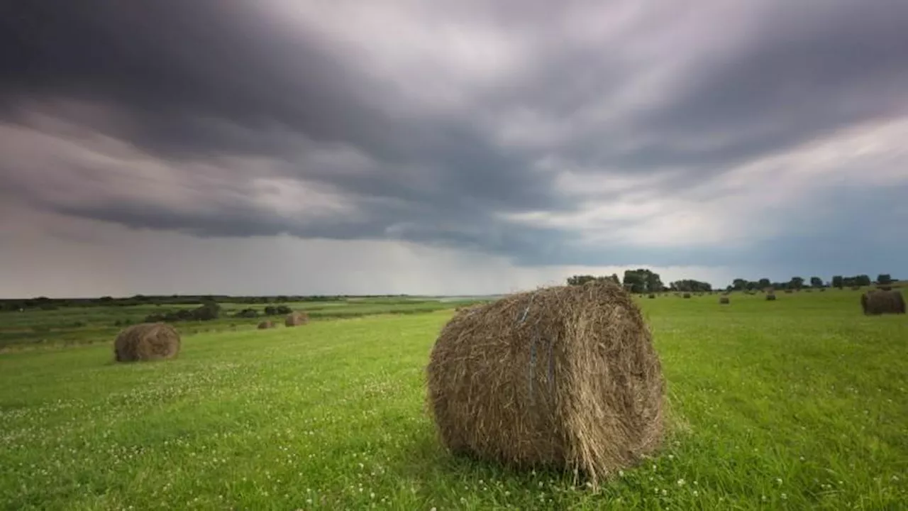 Unwetter-Fahrplan für Deutschland: Hitze und Schwüle bringen kräftige Gewitter mit Starkregen und Sturmböen