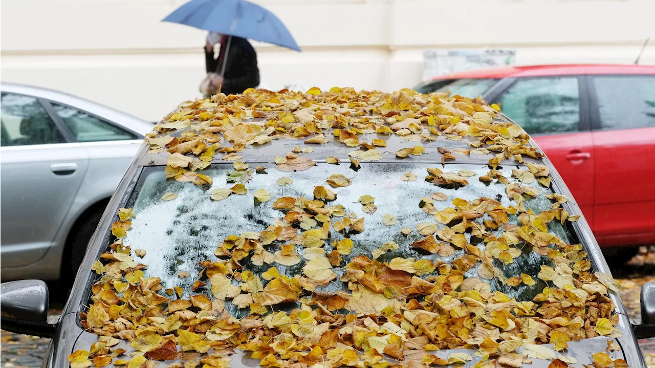 Wetter im November 2022: Erste Herbstattacke mit Regen und Schnee