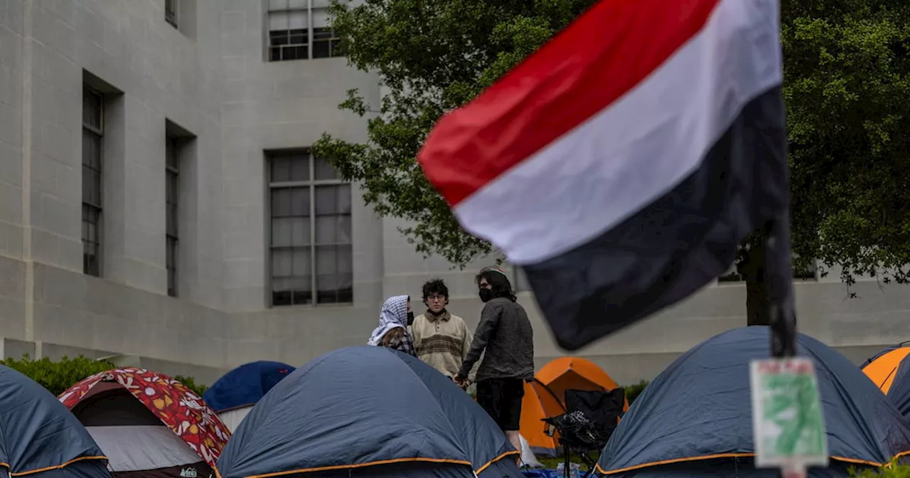 Explainer-What is behind the pro-Palestinian protests at US universities?