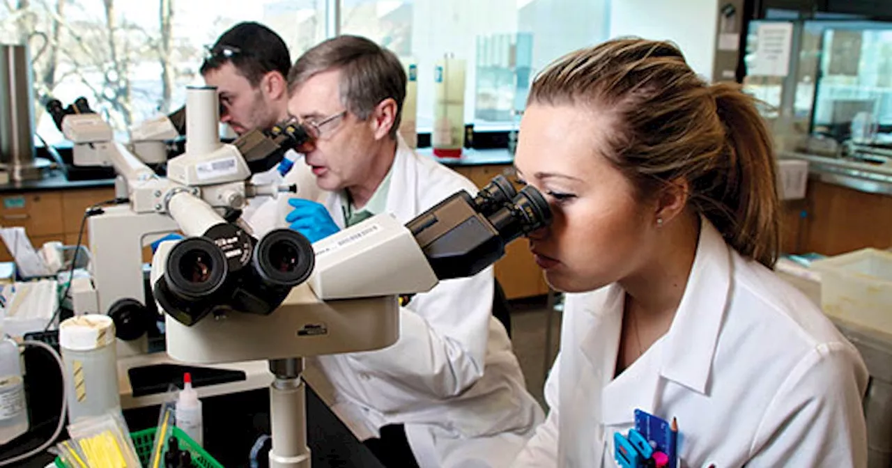 NSCC expanding medical lab technologists program