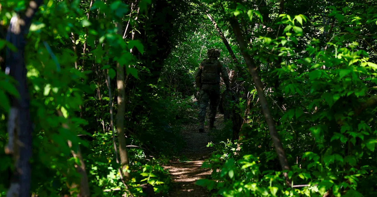 Russia says it has driven Ukrainian army from 211 square miles of territory this year