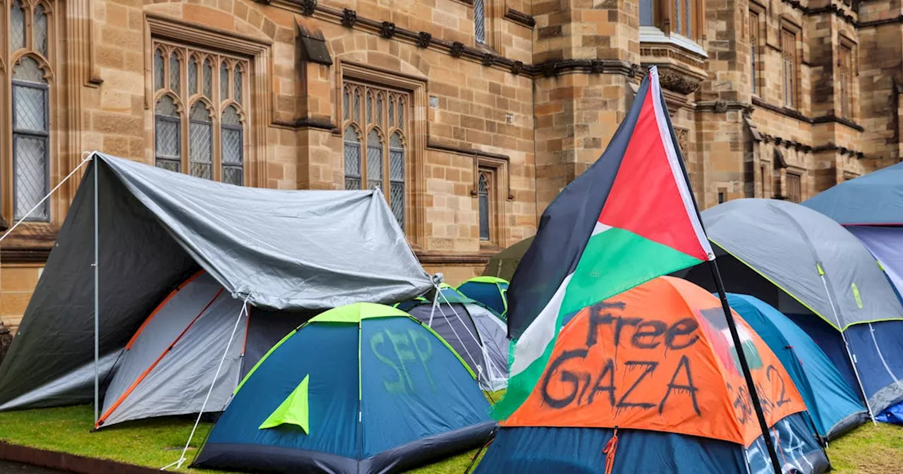 'Show solidarity': Pro-Palestinian protesters camp across Australian universities