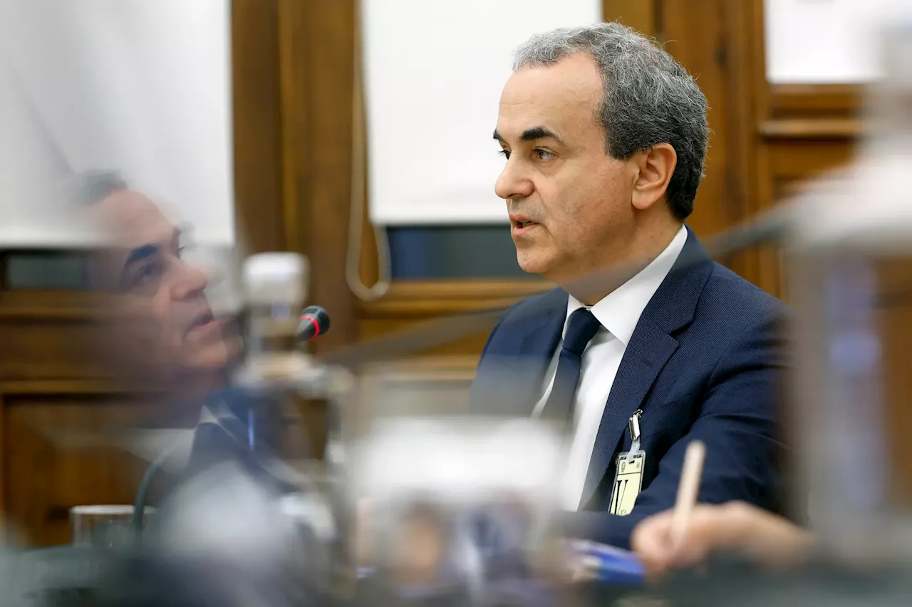 Fernando Araújo recusa elaborar plano do SNS para o verão após pedido da ministra